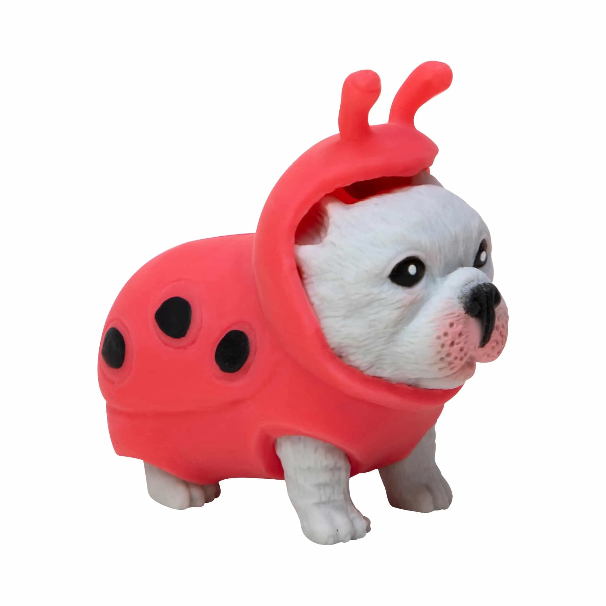 Party Puppies in Costumes (Single) - Assorted Styles